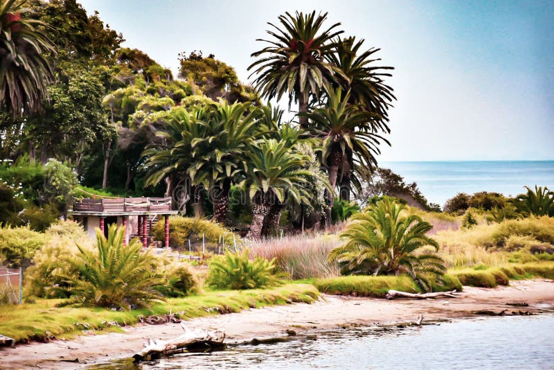 Palm Trees in the Malibu Lagoon Stock Image Image of tropical, trees