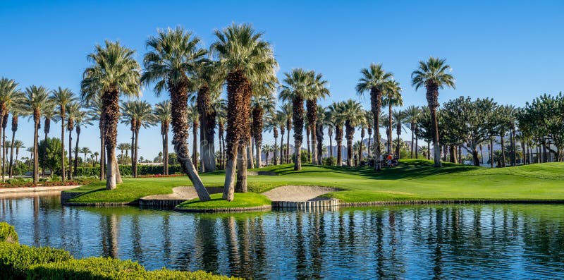 Palm trees reflecting in water feature on a golf course at a resort in Palm Desert, California. Palm trees reflecting in water feature on a golf course at a resort in Palm Desert, California.