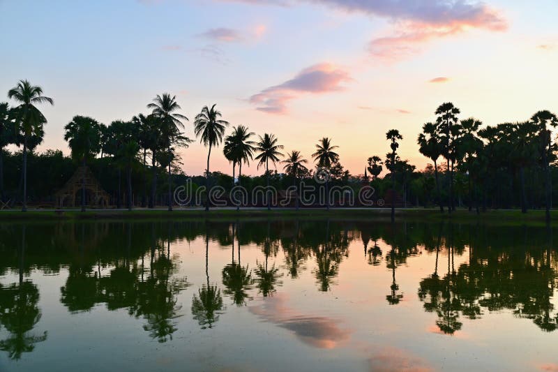 Palm Trees Reflecting Water at Sukhothai Historical Park