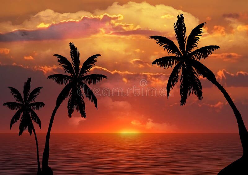 Sunset With Palm Tree Silhouette Photos Cantik