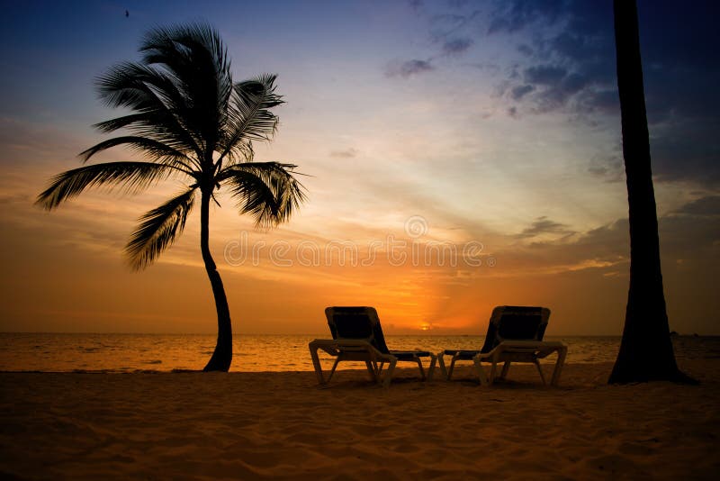 Palm trees silhouette at sunset tropical beach. Orange sunset.