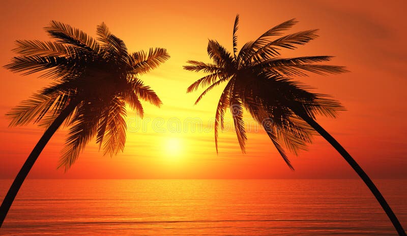 Palm trees silhouette tropical ocean sunset