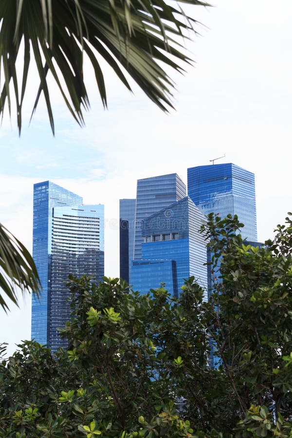 Palm Trees and Singapore Skyline with Skyscrapers Stock Photo Image