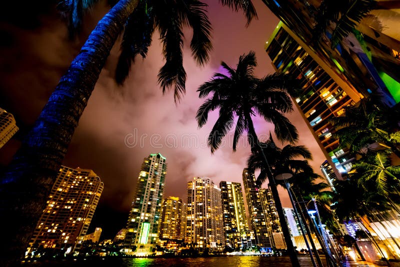 Palm trees and skyscrapers in Miami Riverwalk