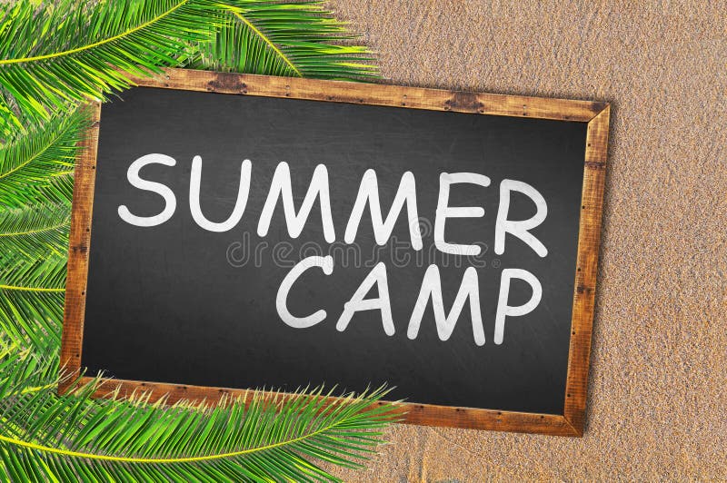 Palm trees and summer camp writen on blackboard
