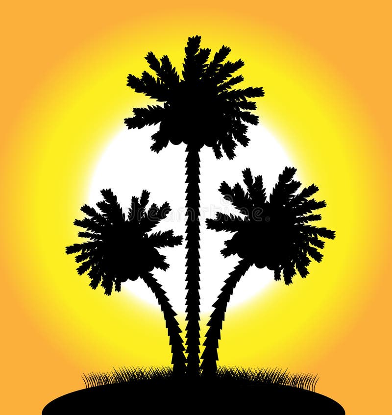 Palm trees at sunset vector illustration