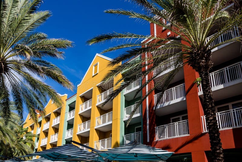 Palm Trees Umbrellas and Colorful Condos