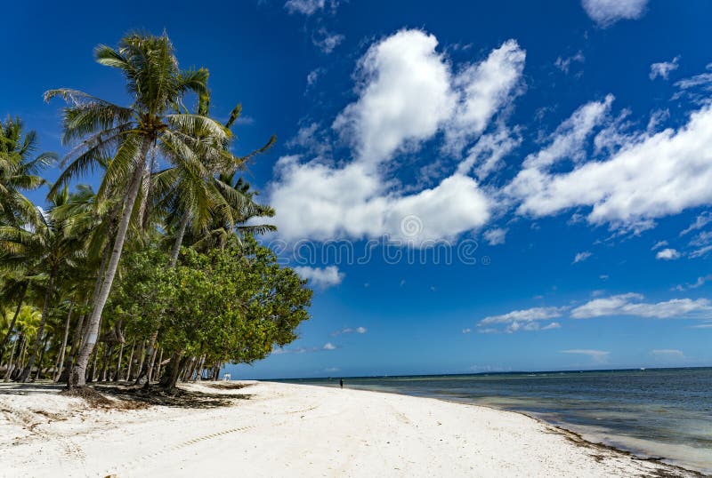 Bohol Philippines White Sand Beach Stock Photo - Image of ocean ...