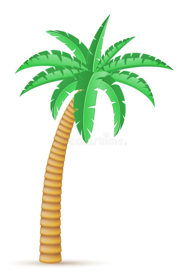 Palm Tropical Tree Vector Illustration Stock Vector - Illustration of tree,  green: 39032578
