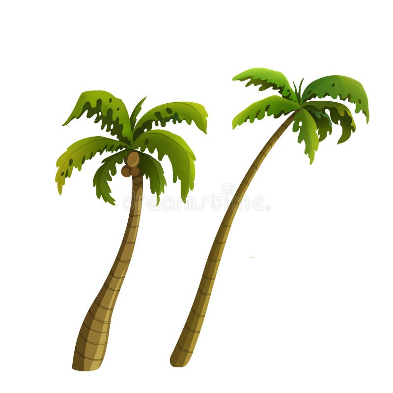 Palma de coco stock de ilustración. Ilustración de hoja - 60710228
