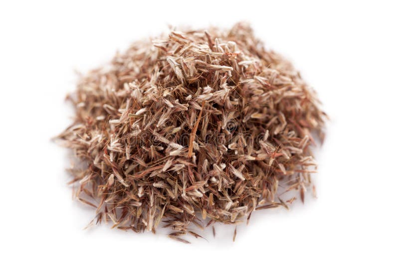 Palmarosa grass seeds (Cymbopogon martinii)