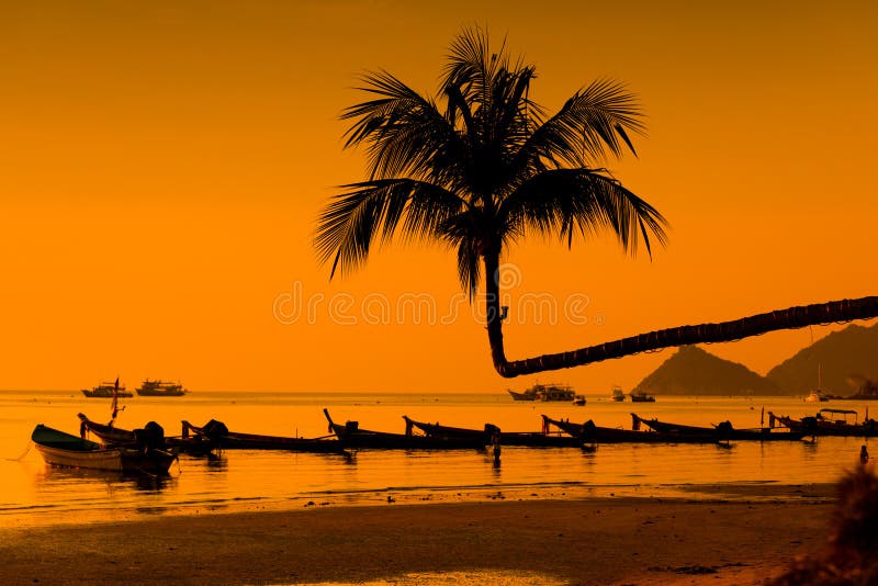 Palmas e barcos, Koh Tao Island - Tailândia imagens de stock royalty free Palmas e barcos, Koh Tao Island - Tailândia imagens de stock royalty free