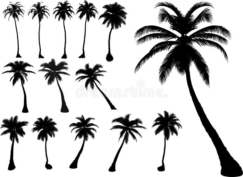Palmas e árvores do vetor ilustração stock Palmas e árvores do vetor ilustração stock