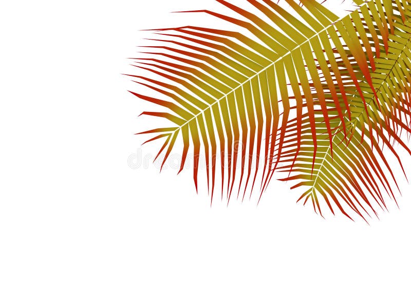 Palmblad royalty-vrije illustratie Palmblad royalty-vrije illustratie