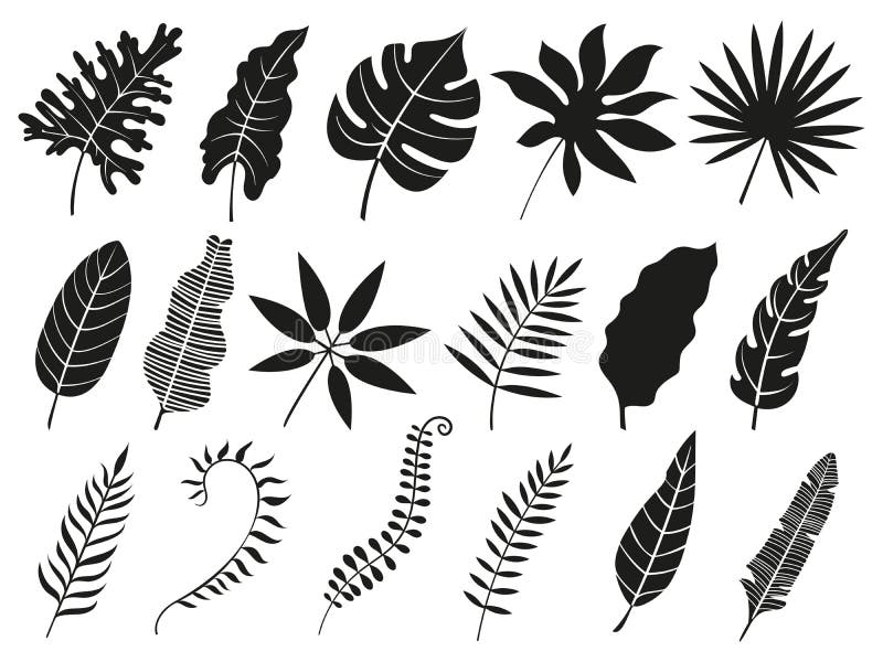 Palmblattschattenbild Monstera-Wedel, Pflanzenblätterschattenbilder und tropische Palmenwedel lokalisierten Vektorikonensatz