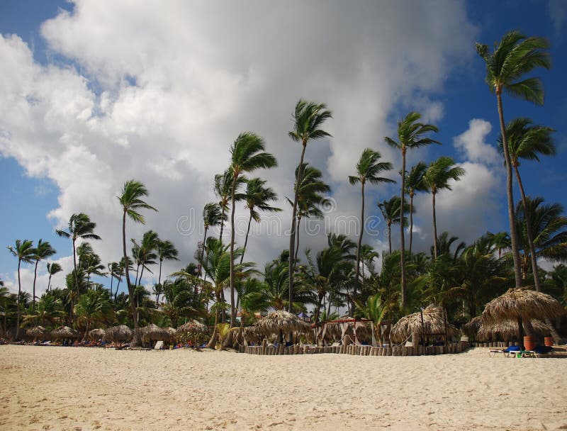 Palme e spiaggia sabbiosa, Repubblica dominicana fotografie stock libere da diritti Palme e spiaggia sabbiosa, Repubblica dominicana fotografie stock libere da diritti