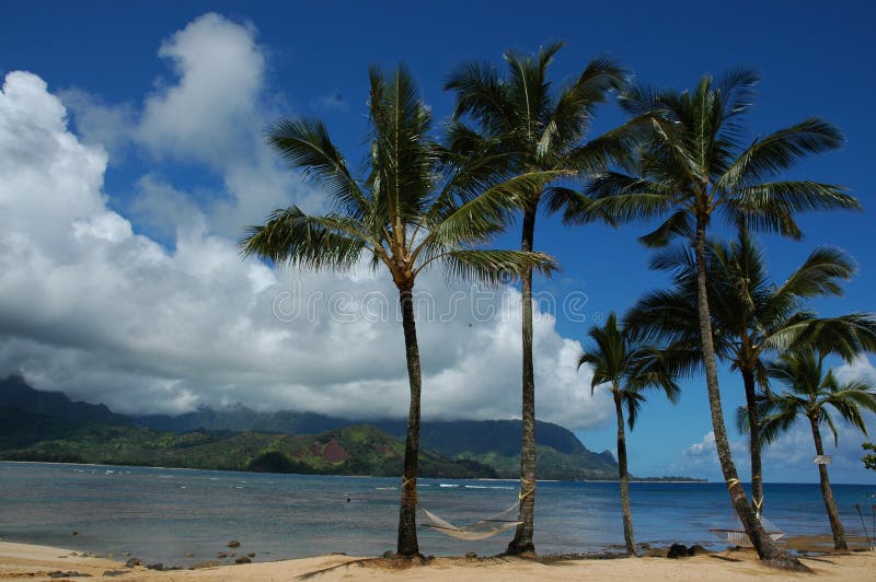 Landscape of palm trees and mountains and seascape off the coast of Kauai, Hawaii (USA). Landscape of palm trees and mountains and seascape off the coast of Kauai, Hawaii (USA).