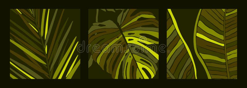 Palmeira tropical sai num estilo minimalista Silhueta de banana-planta, monstera e Dypsis no estilo contemporâneo ilustração do vetor Palmeira tropical sai num estilo minimalista Silhueta de banana-planta, monstera e Dypsis no estilo contemporâneo ilustração do vetor