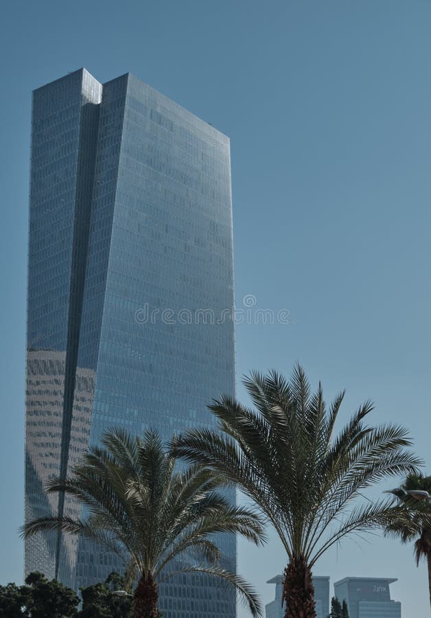 Palmeiras e edifícios modernos em Tel Aviv, ISRAEL imagens de stock Palmeiras e edifícios modernos em Tel Aviv, ISRAEL imagens de stock
