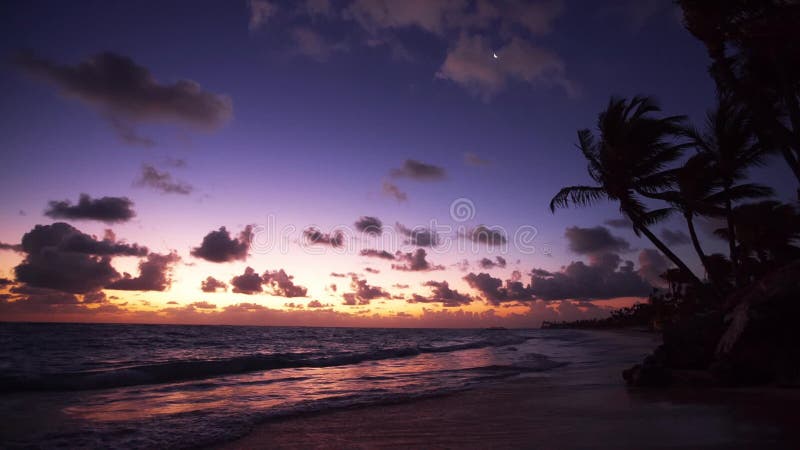 Palmen auf dem tropischen Strand bei Sonnenaufgang, Video