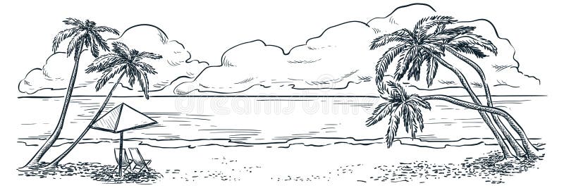Palmen auf Ozeanstrand, Vektorhandgezogene Skizzen-Landschaftsillustration Sommerferien, tropischer Hintergrund der Weinlese stock abbildung Palmen auf Ozeanstrand, Vektorhandgezogene Skizzen-Landschaftsillustration Sommerferien, tropischer Hintergrund der Weinlese stock abbildung