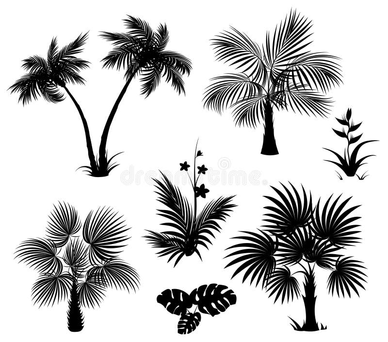 Palmen, Blumen und Blätter, schwarze Schattenbilder lizenzfreie abbildung Palmen, Blumen und Blätter, schwarze Schattenbilder lizenzfreie abbildung