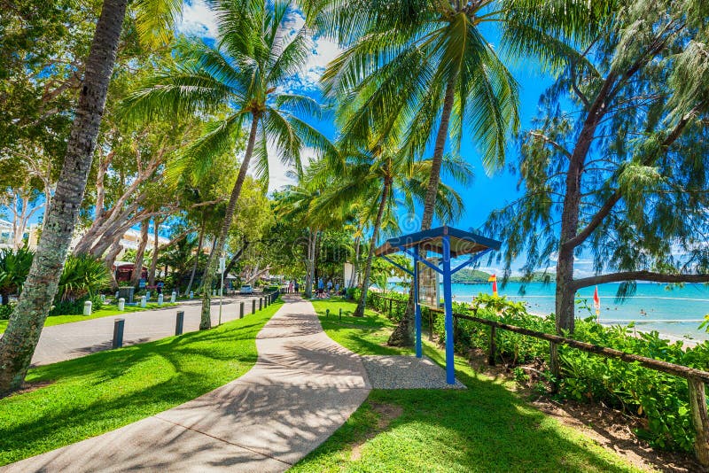 PALMEN-BUCHT, AUSTRALIEN - 28. MÄRZ 2016 Die Esplanade in der Palmen-Bucht lizenzfreie stockfotografie PALMEN-BUCHT, AUSTRALIEN - 28. MÄRZ 2016 Die Esplanade in der Palmen-Bucht lizenzfreie stockfotografie