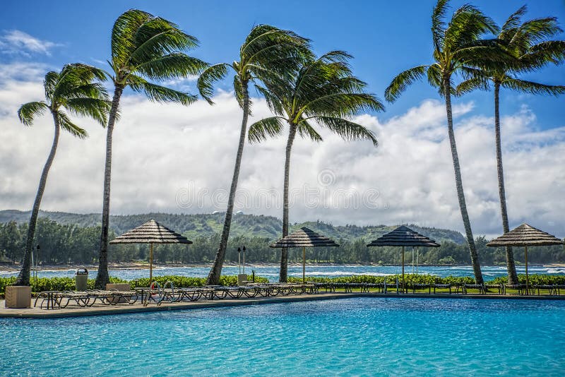 Palm trees blowing on a windy day on the north shore of the island of Oahu, in the Hawaiian Islands, with ripples on the swimming pool on a resort hotel property in the foreground and waves of the Pacific Ocean in the background. Palm trees blowing on a windy day on the north shore of the island of Oahu, in the Hawaiian Islands, with ripples on the swimming pool on a resort hotel property in the foreground and waves of the Pacific Ocean in the background.