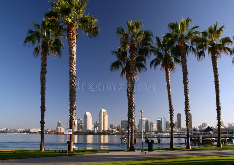Palmen San Diego en Coronado