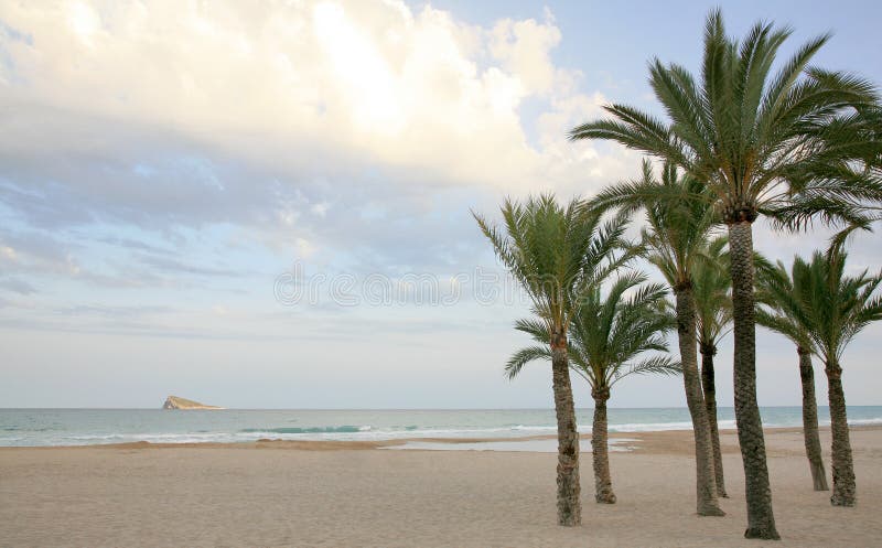 Palmen und Strand-Costa-BLANCA in Benidorm Spanien lizenzfreie stockfotografie Palmen und Strand-Costa-BLANCA in Benidorm Spanien lizenzfreie stockfotografie