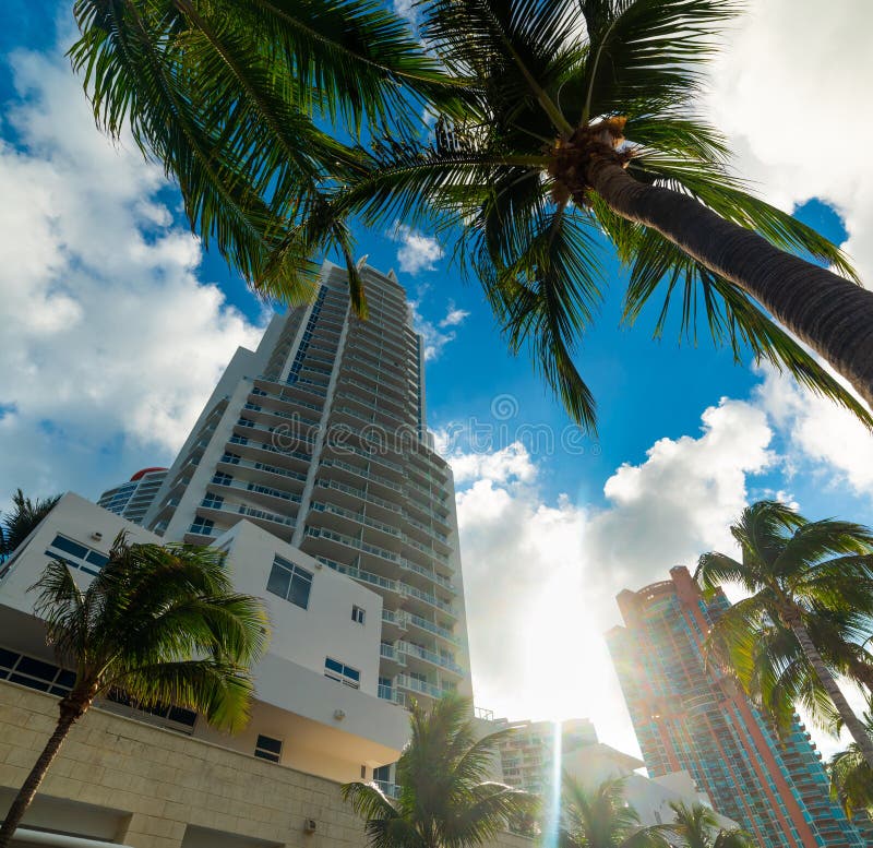 Palmen und Wolkenkratzer im Miami Beach lizenzfreies stockfoto Palmen und Wolkenkratzer im Miami Beach lizenzfreies stockfoto