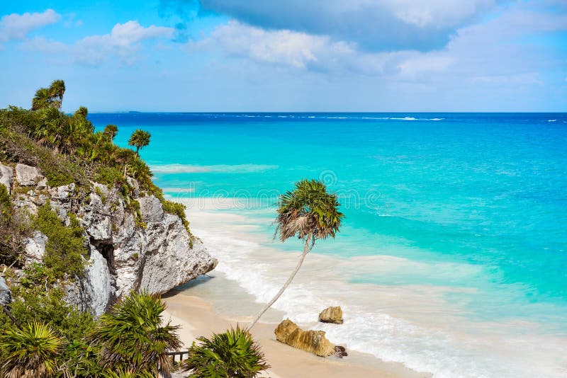 Palmera de la playa de la turquesa de Tulum en maya de Riviera en maya fotos de archivo Palmera de la playa de la turquesa de Tulum en maya de Riviera en maya fotos de archivo