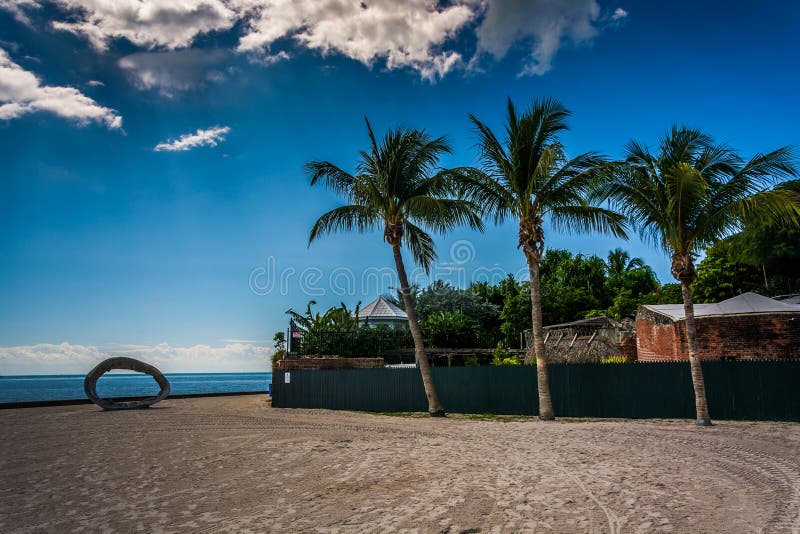 Palmeras en la playa de Higgs, en Key West, la Florida imagen de archivo libre de regalías Palmeras en la playa de Higgs, en Key West, la Florida imagen de archivo libre de regalías