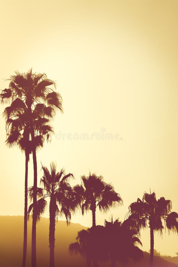Palmeras en la puesta del sol en las colinas en la costa de California cerca de Los A foto de archivo libre de regalías Palmeras en la puesta del sol en las colinas en la costa de California cerca de Los A foto de archivo libre de regalías