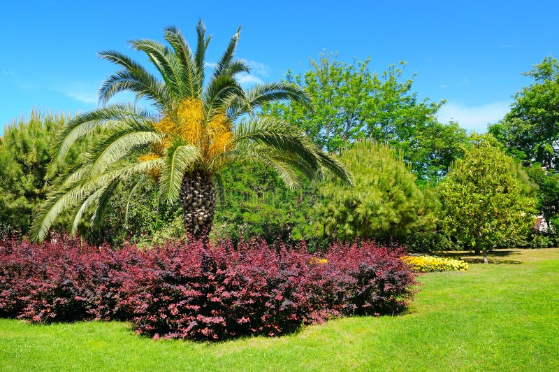 Palmeras y jardines de flores imagen de archivo Palmeras y jardines de flores imagen de archivo