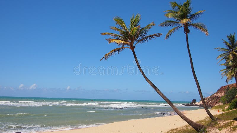 Palmeras y playa imagenes de archivo Palmeras y playa imagenes de archivo