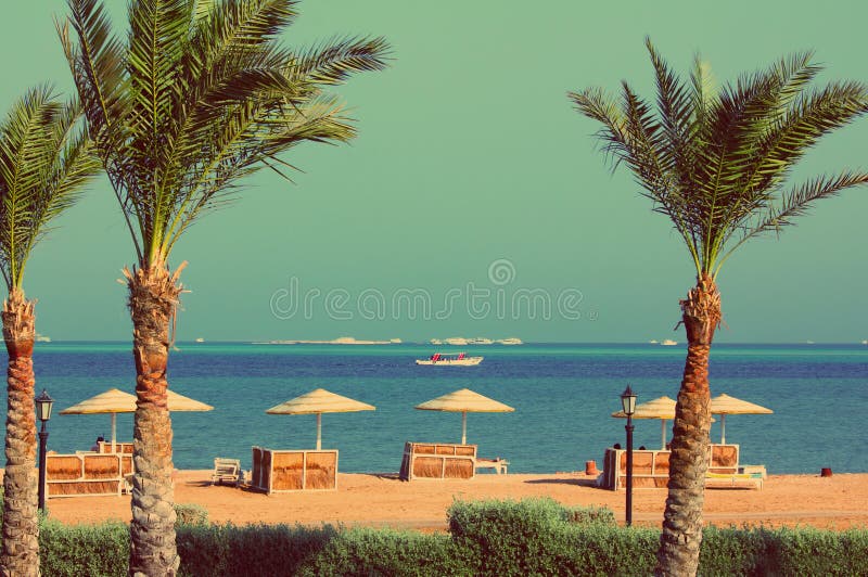 Palmeras y playa tropical - estilo retro del vintage imagen de archivo Palmeras y playa tropical - estilo retro del vintage imagen de archivo