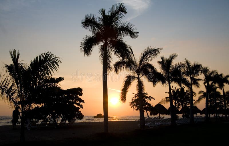 Palmeras y puesta del sol imágenes de archivo libres de regalías Palmeras y puesta del sol imágenes de archivo libres de regalías