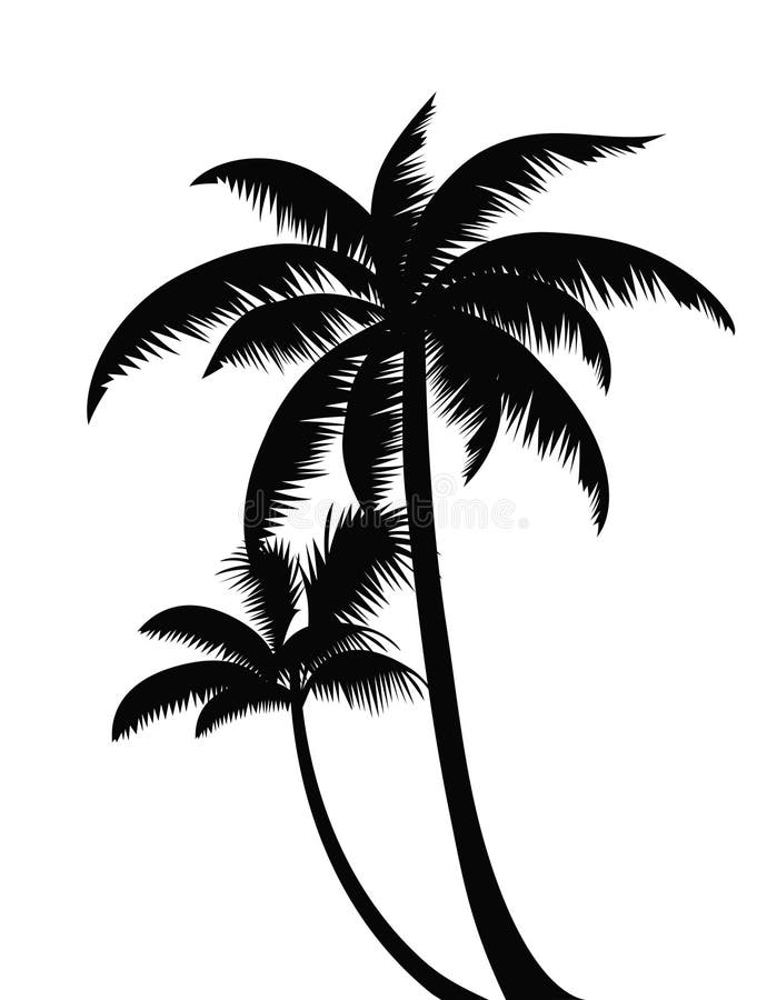 Palmeschattenbilder für Dekor