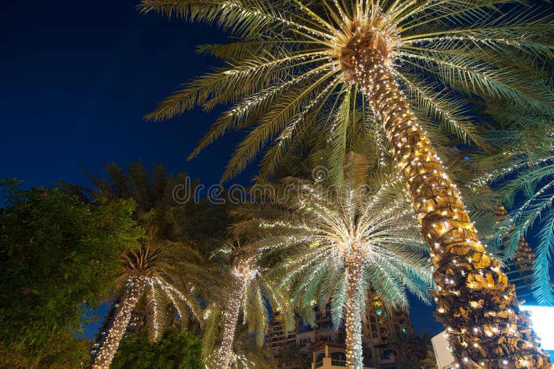 Palmier de fond de décoration de Noël photo stock Palmier de fond de décoration de Noël photo stock
