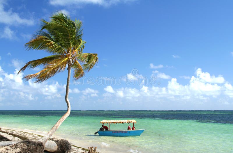 Palmier et bateau photos stock Palmier et bateau photos stock