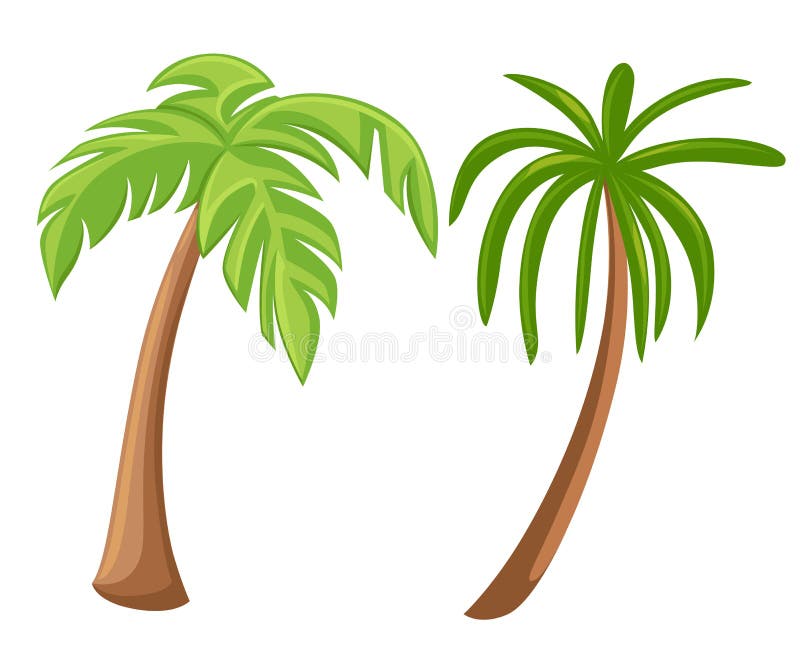 Palmiers d'isolement sur le fond blanc Illustration réglée de bel de vectro arbre de palma illustration stock Palmiers d'isolement sur le fond blanc Illustration réglée de bel de vectro arbre de palma illustration stock