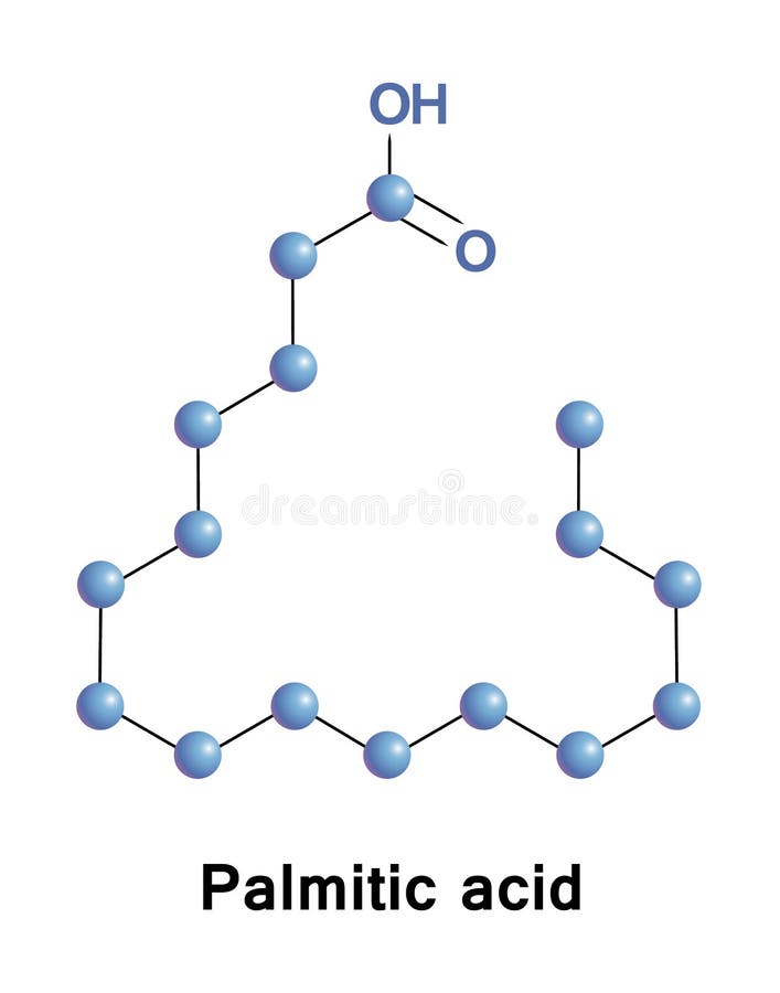 Stearic Acid Saturated Fatty Acid Molecule Stock Illustration -  Illustration of molecule, vegetable: 188425352