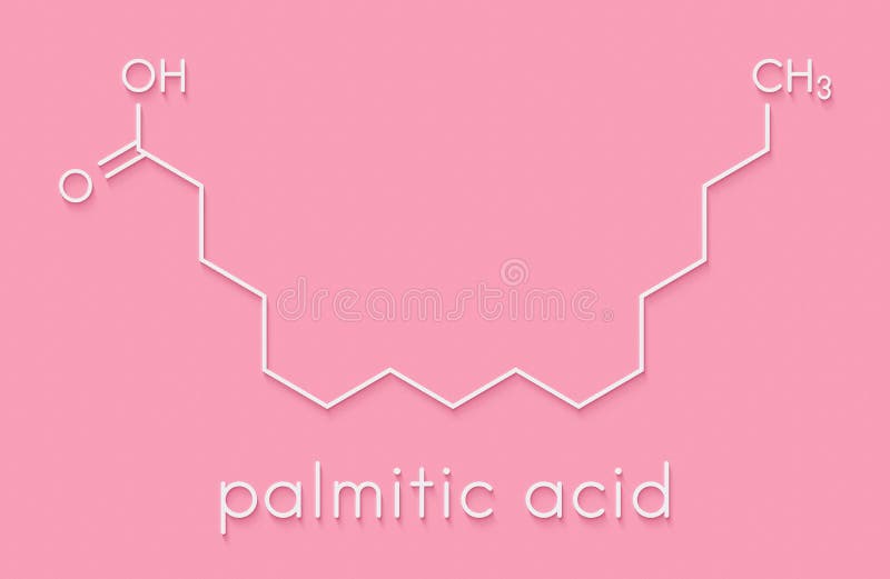 Palmitic Hexadecanoic Acid Saturated Fatty Acid Molecule. Skeletal Formula. Stock Illustration