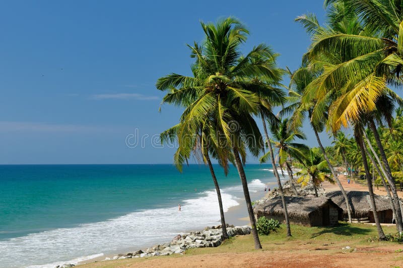 Exotic palms cliff beach in Varkala. Kerala. India. Exotic palms cliff beach in Varkala. Kerala. India