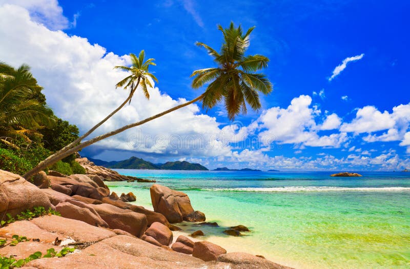 Palms on beach at island La Digue, Seychelles