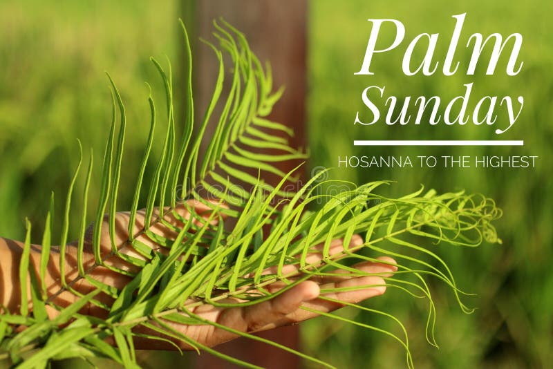 Palmsonntags-Konzept christliche Inspirationszitat- mit dem höchsten mit Hosanna Farn oder Palmblatt in der Hand