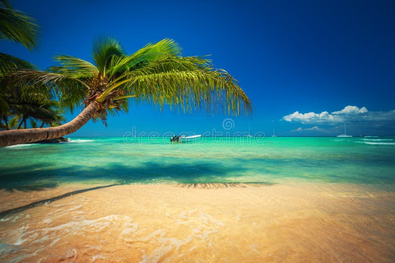 Exotic Beach in Dominican Republic, Punta Cana. Exotic Beach in Dominican Republic, Punta Cana