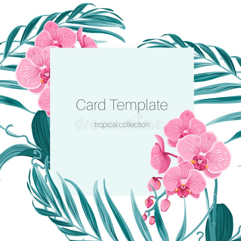 Palmträdet för orkidéphalaenopsisblomman lämnar kortet stock illustrationer Palmträdet för orkidéphalaenopsisblomman lämnar kortet stock illustrationer
