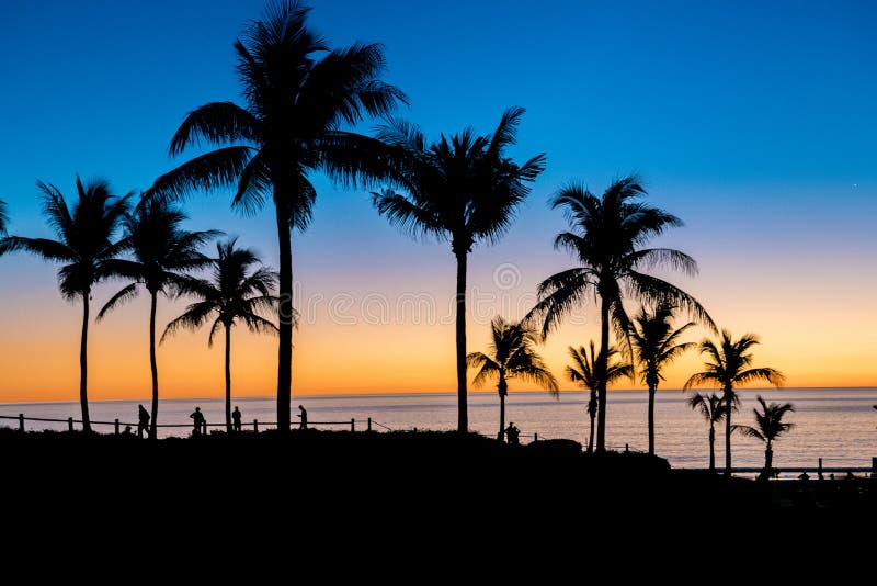 Palmträdsolnedgång på kabelstranden, Broome, västra Australien fotografering för bildbyråer Palmträdsolnedgång på kabelstranden, Broome, västra Australien fotografering för bildbyråer